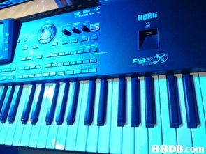 樂(lè)韜影音制作,專業(yè)音響器材設(shè)備租賃 音響出租 音樂(lè)制作 錄音制作,變魔術(shù)及氣球造型服務(wù),另設(shè)合適的唱歌舞臺(tái),歡迎夾band 唱歌