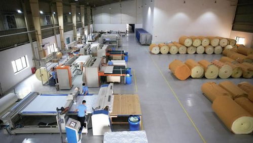 攜手共進，共享發展機遇——海馬牌及軒琴居越南生產工廠開放日錄音制作紀實